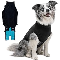 chewy suitical recovery suit