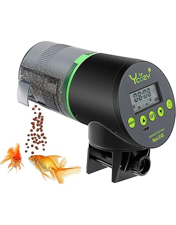 diy vacation fish feeder