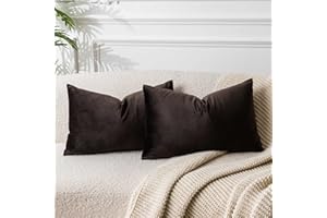 JUSPURBET Coffee Lumbar Velvet Throw Pillow Cover 16x24 inch Set of 2 Decorative Soft Cushion Cases for Couch Sofa Bed