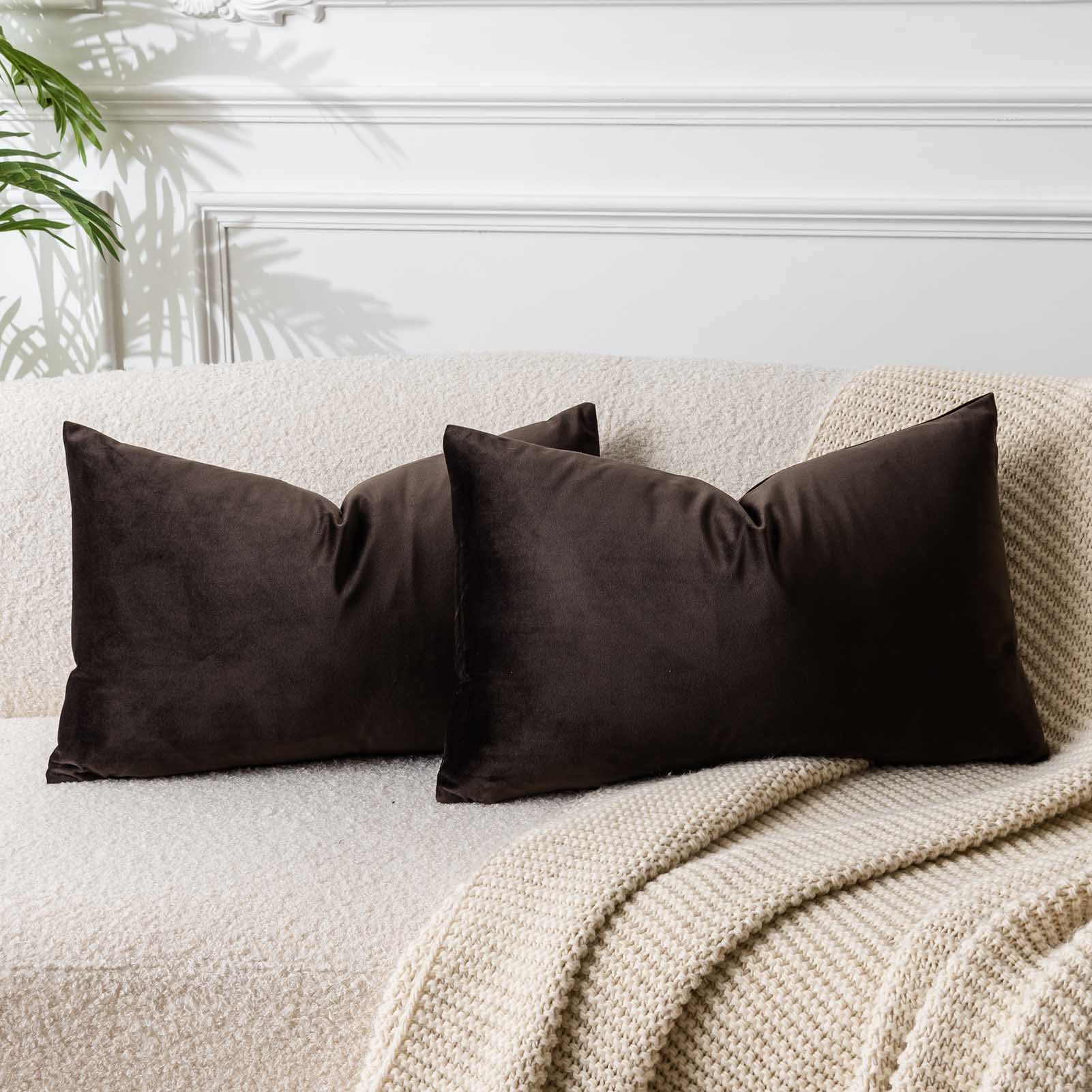 Photo 1 of JUSPURBET Couch Pillow Covers Set of 2 Decorative Velvet Throw Pillow Covers Cases for Living Room Bedroom Home Decor Soft Lumbar Cushion Covers with Hidden Zipper for Sofa Bed,Coffee,14x24 inch