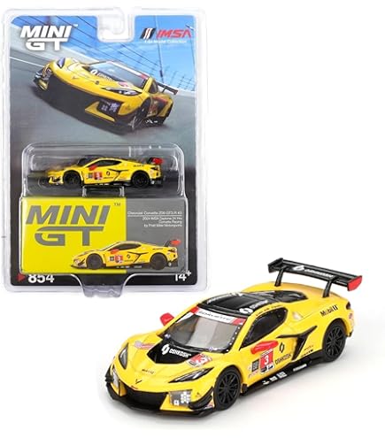 Amazon.com: NSX GT3 EVO22#18 Takashi Kobayashi - Kakunoshin