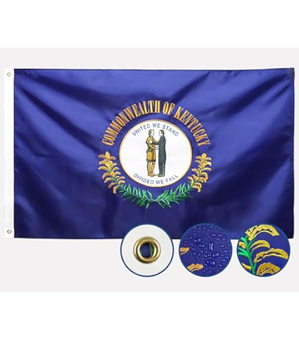 DMSE Südkorea Nationalflagge Taegukgi – 100% Polyester, 2' X 3' Fuß, UV-beständig