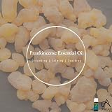 Absolute Aromas Frankincense Essential Oil 10ml Pure Boswellia Carteri view 6