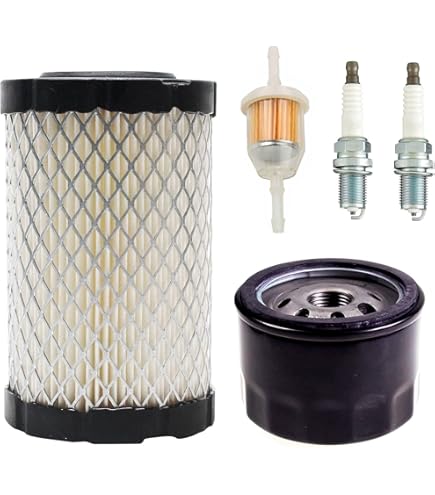 Amazon.com : Briggs & Stratton 273521 Intek V-Twin OHV Repair