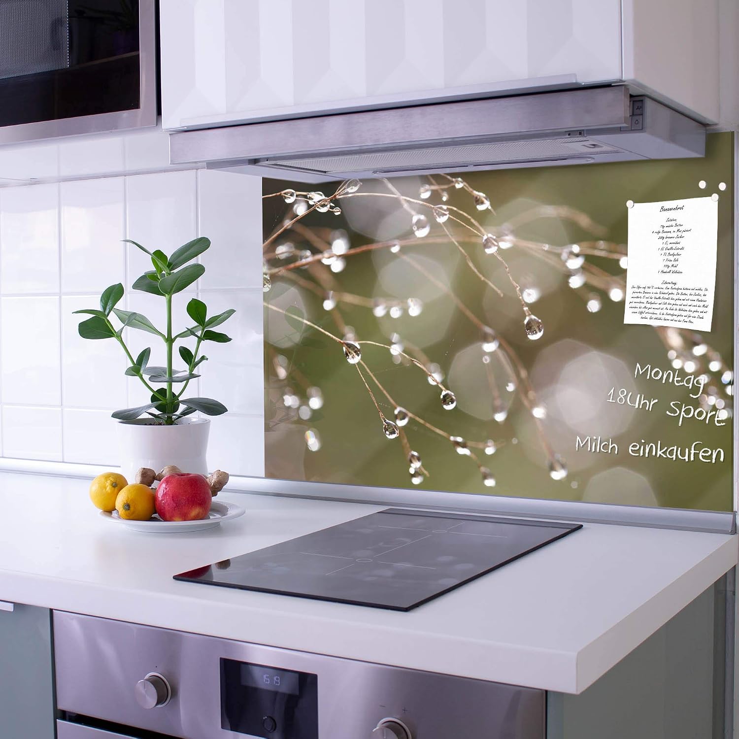Küchenrückwand mit Motiv Krokodile banjado Glas