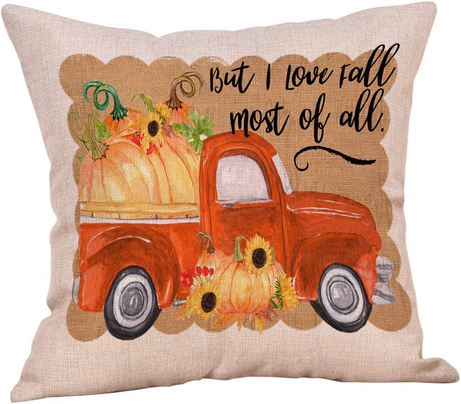 fall 18x18 pillow covers