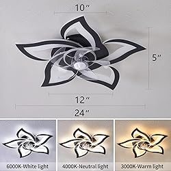 Dalouguan Ceiling Fan with Lights Remote