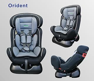 ORIDENT Autokindersitz BXS 0-25 kg Gruppe-0+1+2 nach Norm ECE 44-04 (Grau)