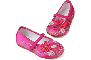 ANPROITY Encanto Costume Shoes Mary-Jane Flats Shoes Round Toe Low Wedge Ballet Flats Floral Embroidery Shoes for Girls Halloween Cosplay Dress Up