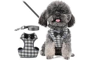 Tkxjry 10" - 13" Dog & Cat Harness Leash Set, with 1.2 M Leash, Adjustable Soft Cat Vest Harness, Rabbit Harness for Walking 