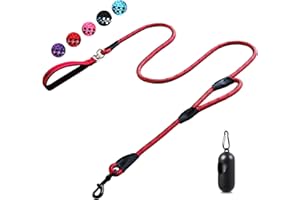 CHENEDY Dog Leash, 6 Foot Dog Leash, 2 Extra Padded Handles, Lockable Metal Carabiner Clip, Reflective No Pull Heavy Duty Rope Lead, Walking, Training, Running, Medium to Large Breeds（Red）