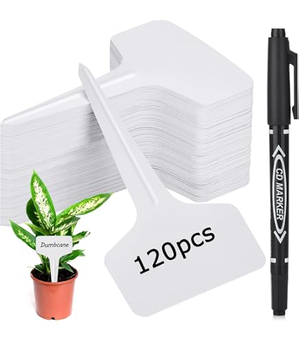 Etiquetas de madera ecológicas para plantas, marcador de jardín para Etiquetas de madera ecológicas para plantas, marcador de jardín para