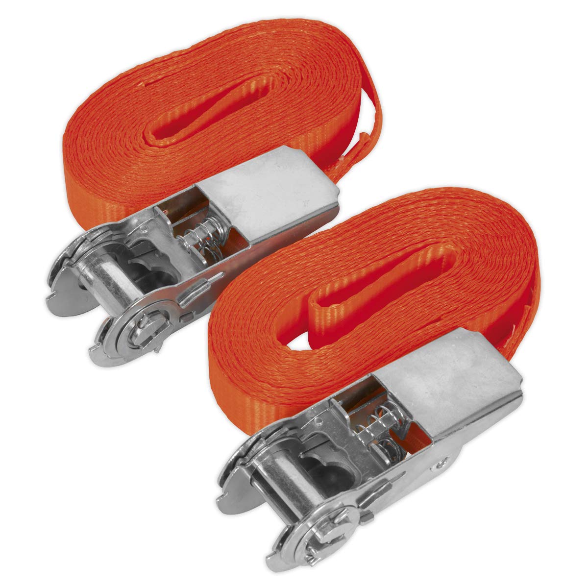 Sealey Td08045E Self-Securing Ratchet Tie Down 25Mm X 4.5Mtr 800Kg Load Pair