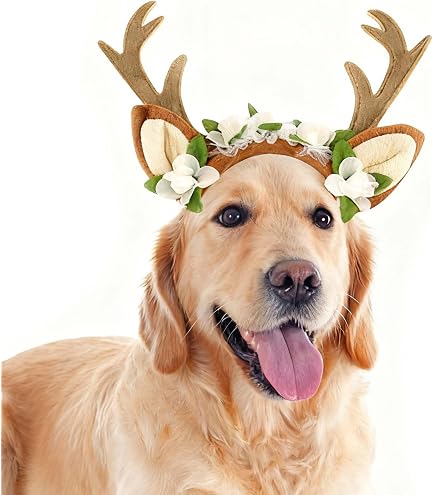 Amazon.com: Golden Retriever Christmas Outfit