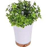 AYNEFY Humidifier Diffuser Simulation Plant 4 Hours Standby Time Lifelike Decoration Optimal Mist Output Long Lasting Standby for Bedroom Office Yoga ABS 200ml Essential Oil Essential (Green Leaves