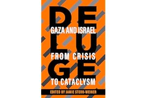 Deluge: Gaza and Israel from Crisis to Cataclysm