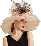 ORIDOOR Women Hats Headband Hairpin Organza