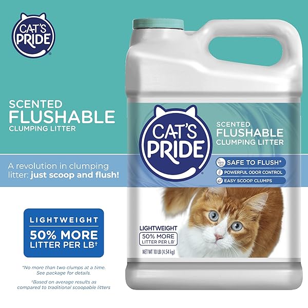 CAT’S PRIDE LIGHTWEIGHT CLUMPING LITTER: FLUSHABLE – POWERFUL ODOR CONTROL – SCENTED, 10 POUNDS