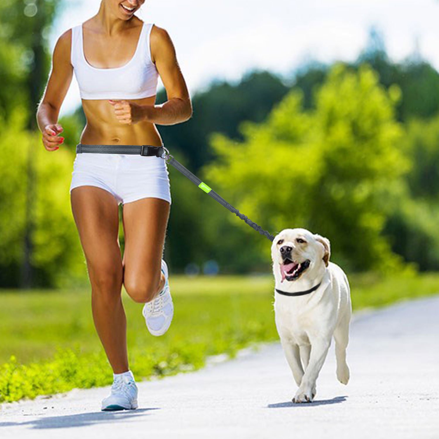 Pecute Hands Free Dog Leash with Extra Foam Handle - Extendable Bungee with Reflective Stitching - Waist Belt Adjustable Fits up to 48” Waist - For Jogging, Running, Hiking (Grey and Green)