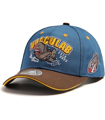 Curtiss P-40 Warhawk Hat, Flying Tigers, WWII Aviation Vintage