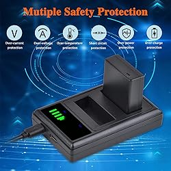 DMW-BLG10 DMW-BLG10PP DMW-BLE9 Battery and LED Dual