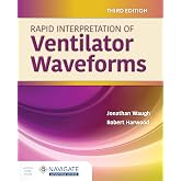 Rapid Interpretation of Ventilator Waveforms