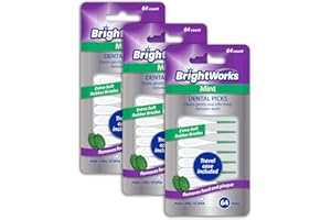 BrightWorks Mint Dental Picks, with Extra Soft Rubber Bristles and Flexible Tip, Clean Gently and Effectively Between Teeth, Travel Case Included, 3 Packs (64 Per Pack) [192 Total Picks]