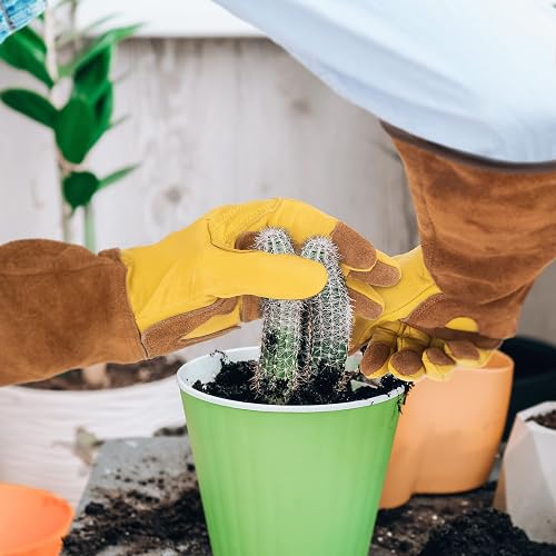 WOHEER Long Gardening Gloves for Women Thorn Proof,Rose Pruning Cowhide  Leather Garden Gloves for Cactus, Rose and Blackberry, Large (1 Pair) in  Dubai - UAE | Whizz Gloves