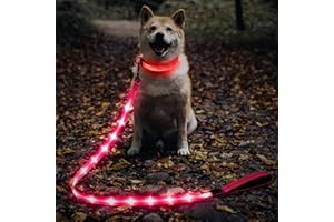 Illumifun LED Dog Leash - USB Rechargeable Light Up Dog Leash, Nylon Glowing Dog Lead for Your Dogs Walking (PinkⅡ)