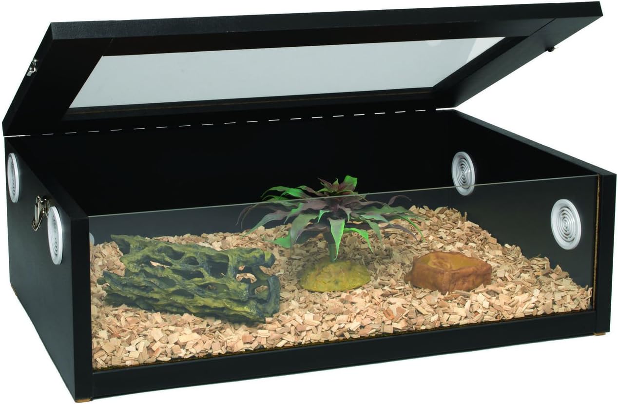 gecko vivarium accessories