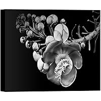 SIGNWIN Canvas Wall Art A Full Bloom Stinking Passion Floral Flower Photography Modern Art Romantics Closeup Dramatic Black and White for Living Room, Bedroom, Office - 12x18 inches