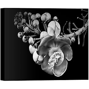 SIGNWIN Canvas Wall Art A Full Bloom Stinking...