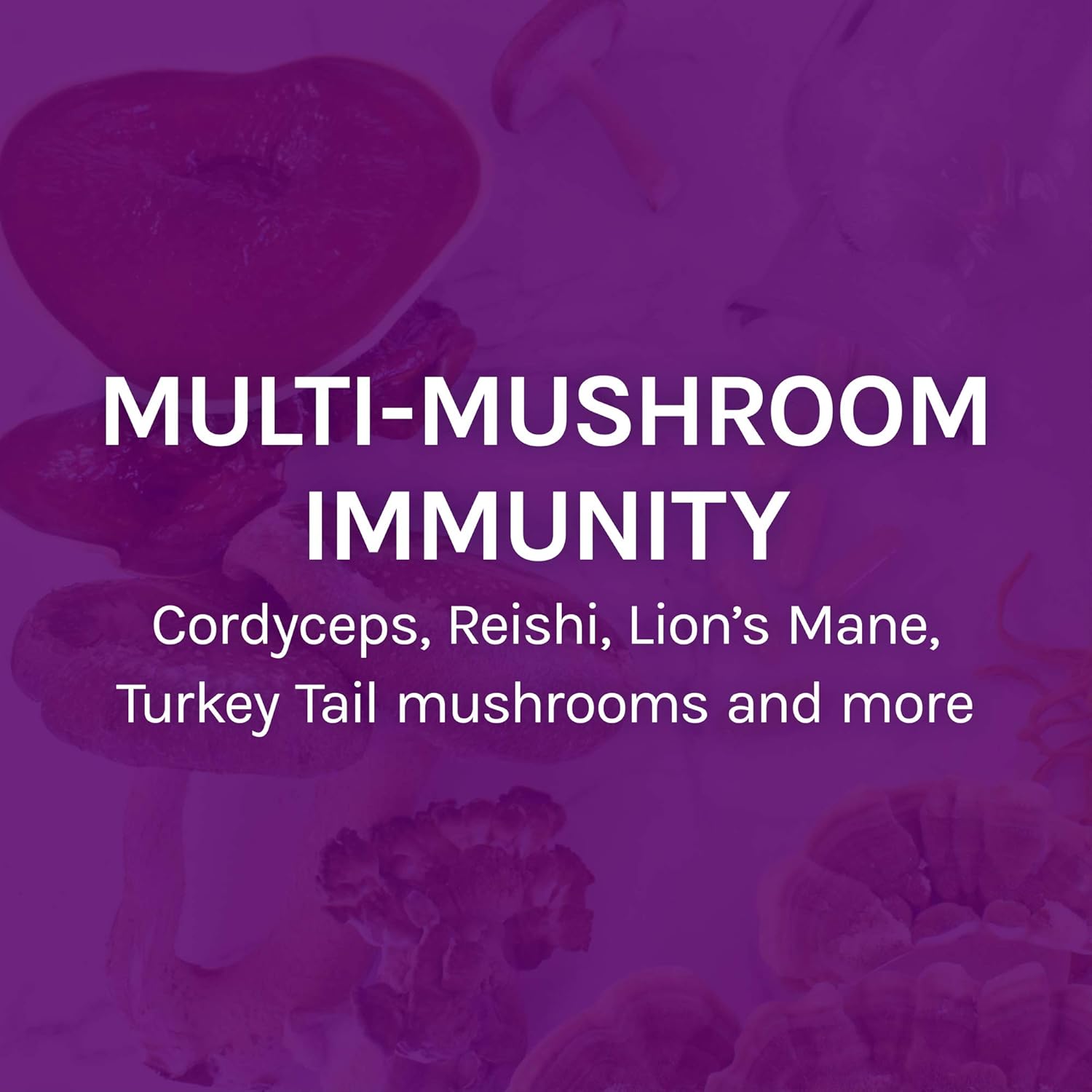 Host Defense, MyCommunity Capsules, Advanced Immune Support, Mushroom Supplement with Lion’s Mane, Reishi, Vegan, Organic, 30 Capsules (15 Servings): Health & Personal Care