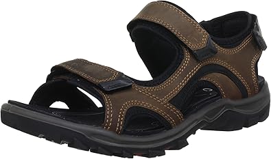 ecco biom fjuel band