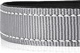 HEELE Reflective Dog Collar Neoprene Padded Nylon Adjustable S Grey 26-38cm view 6