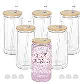 Maucircol 16 Oz Plastic Snowglobe Tumbler, 6 Pack Pre-Drilled Double Wall Plastic Clear Cup for Glitter Snow Globe Diy, Double Wall Snowglobe Cup with Bamboo Lid