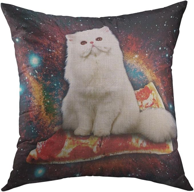 Mugod Decorative Throw Pillow Cover Couch Sofa Funny Meme Space