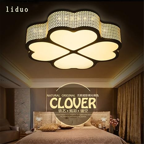 Leihongthebox Ceiling Lights Lamp Led Ceiling Light Master