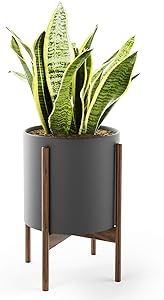 Mid Century Plant Stand with Pot with Drainage - Matte Black Ceramic Planter with Stand Made of Walnut - Modern 10 inch Planter - Perfect Pot for Plants Indoor Plant Stand NOT Adjustable