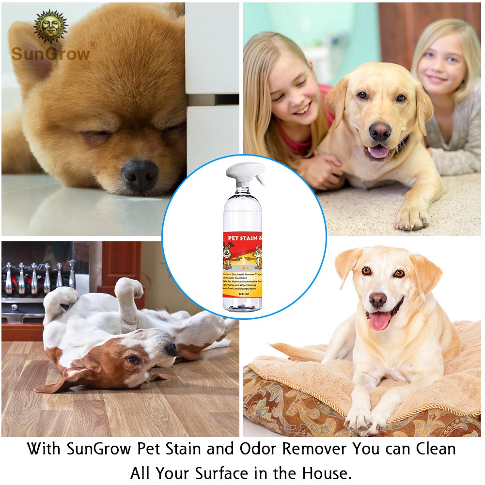 SunGrow Advanced Pet Urine Stain and Odor Remover for Dogs & Cats Owners: Clear, Clean, Enzyme Blend with a Pleasant Green Tea Scent : Color Safe & Effective for Clothing, Rugs, Counter-Tops & Floors