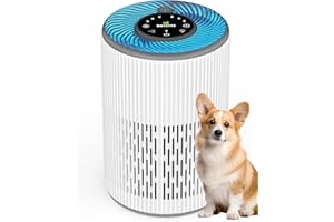 DAYETTE Air Purifier for Home Large Room up to 1300 sq ft, H13 Air Purifiers for Bedroom Pets with Fragrance Sponge, Remove 99.97% Smoke/Pet Dander/Pollen, Quiet 20dB Sleep Mode