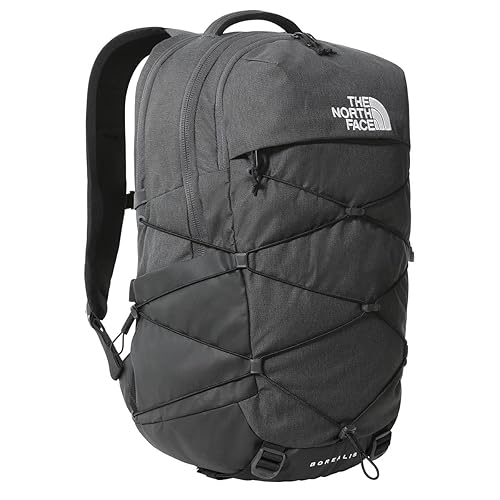 THE NORTH FACE Borealis Mens Backpack New Taupe Green Snowcap