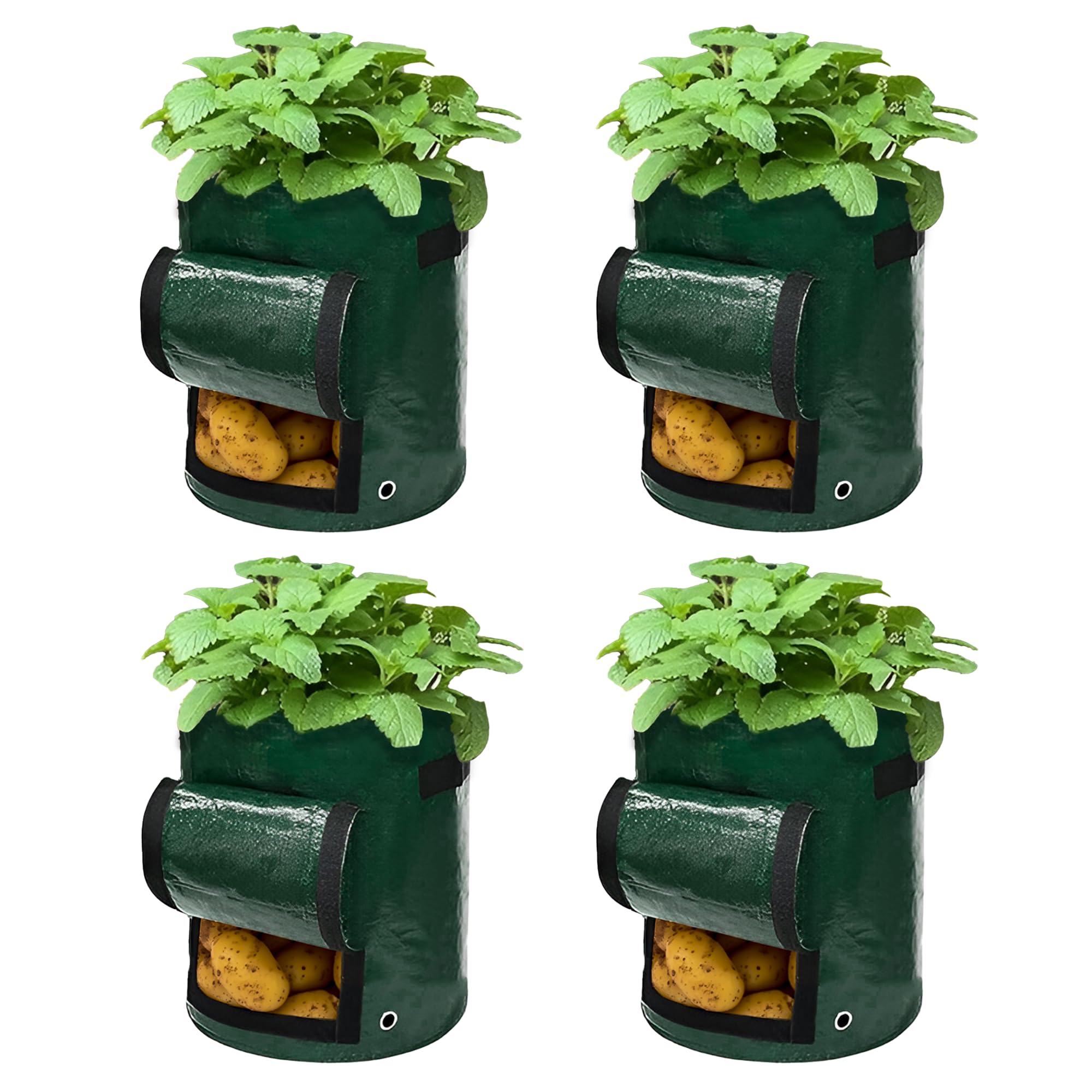 4 Planter Grow Bags 7 Gallons - 28L Capacity, With Drainage Holes, Carry Handles, Hook n Loop Open Compartment, Heavy Duty, Water Resistant, Vegetable Planter, Ideal for Potatoes, Mushrooms and more