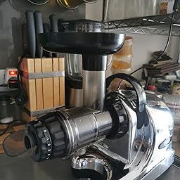 Extractor de zumos Oscar Neo DA 1000 – Tecnología Cold Press Slow ...