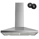FIREGAS Range Hood 30 Inch, Stainless Steel Wall