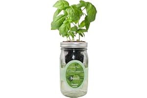 Environet Hydroponic Growing Kit, Self-Watering Mason Jar Herb Garden Starter Kit Indoor, Windowsill Herb Garden, Grow Your Own Herbs from Organic Seeds (Basil)