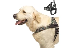 DOG FRIENDLY CO DF Co. Dog Harness | Chafe Resistant Webbing, Adjustable Neck & Chest, and Heavy Duty D-Ring | Sturdy, Comfortable, Easy to Use | Green Camo, Size L