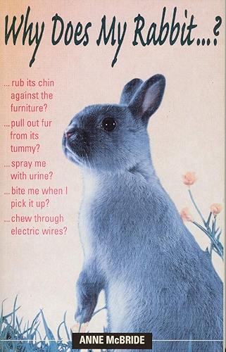 Download Why Does My Rabbit...? (Why Does My . . . ?) (English Edition) PDF