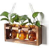 Plant Propagation Station Plant Terrarium Unique Birthday Gifts for Women Home Office Decor Planter with Wooden Stand - 3 Bulb Glass Vase
