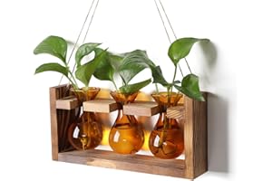 YYHGLASS Plant Propagation Station Plant Terrarium Unique Birthday Gifts for Women Home Office Decor Planter with Wooden Stand - 3 Bulb Glass Vase